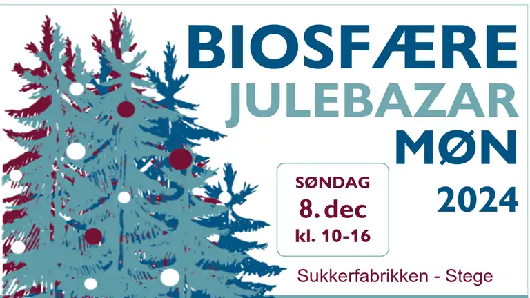 Grafisk illustration med information om biosfære julebazar