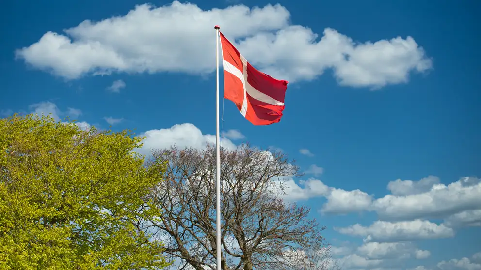 Billede af dannebrogsflag i flagstand på en forårsdag