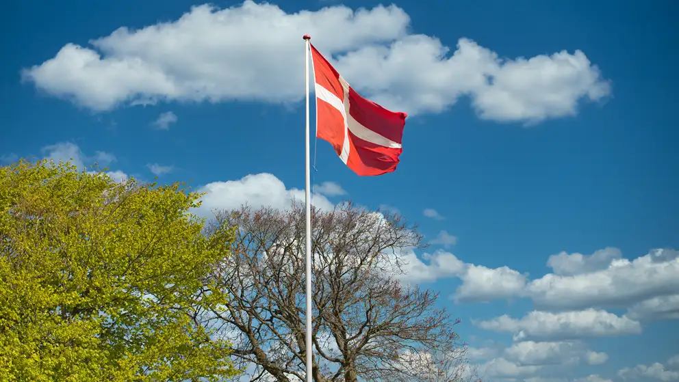 Billede af dannebrogsflag i flagstand på en forårsdag