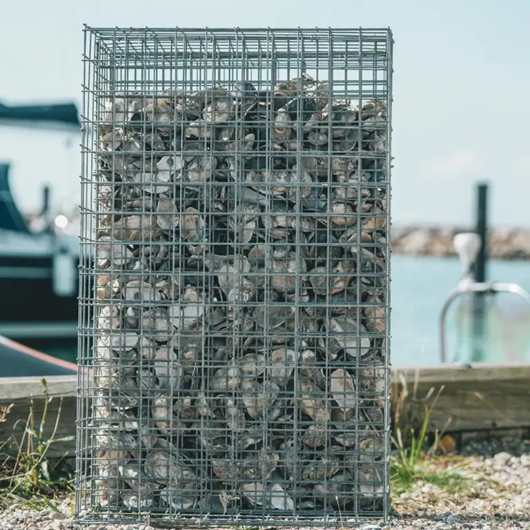 Fiskebørnehave i Klintholm Havn
