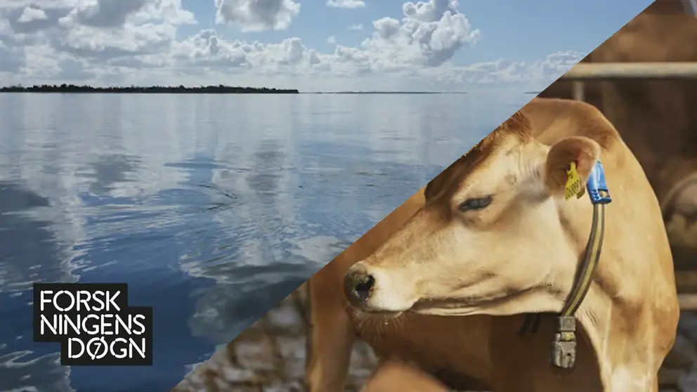 Forskningens døgn med biosfære og biblioteket