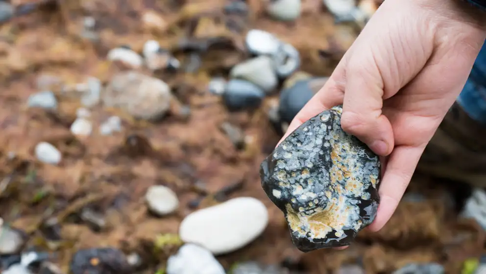 En hånd, der holder et stykke flint