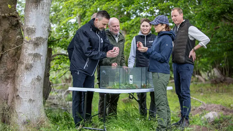 H.M. Dronningen ser på frøer