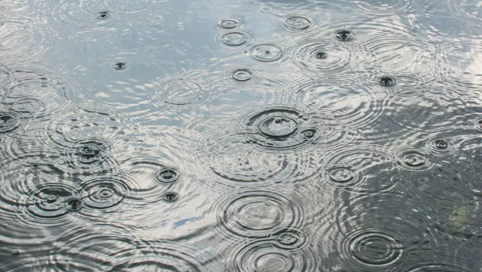 Billede af regndråber i en vandpyt