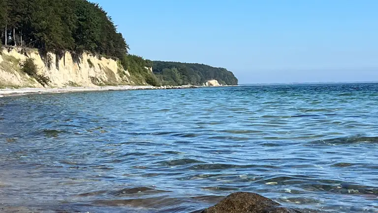 Mads Klint ved Fanefjord Skov på Møn