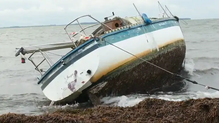 Billede af en båd, der ligger i vandkanten
