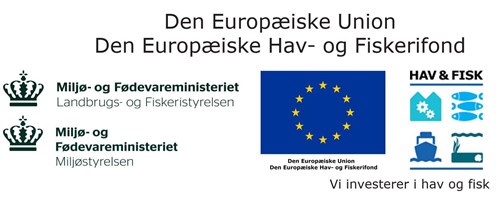 Logo for Den Europæiske Union og Den Europæiske Hav- og Fiskefond