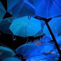 Foto at blå paraplyer